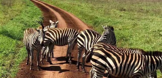 Lake Manyara