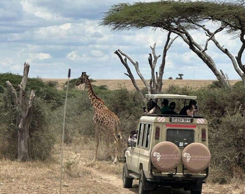 WhatsApp Image 2023-10-30 at 15.18.27_c2d8f3d4